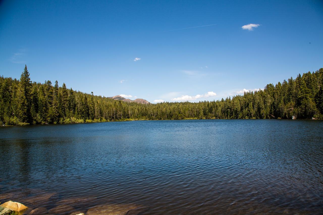 Snowflower Camping Resort Cabin 3 Emigrant Gap Exterior foto